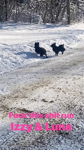 Douglas Robinson on Reels