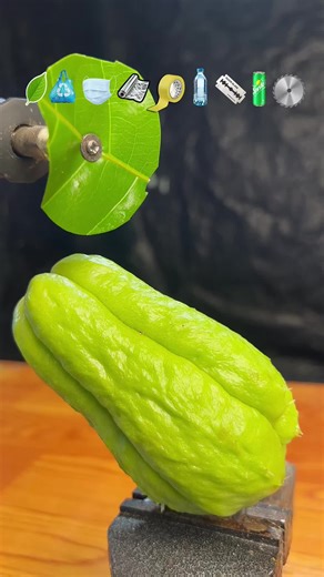 What can cut chayote ??? #experiment #scienceexperiments #satisfying #asmr #satisfyingvideo
