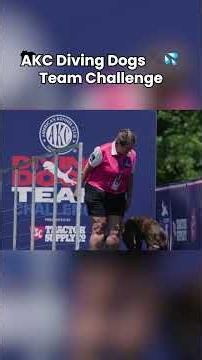 Built for the Dock 🐾 | AKC Diving Dogs Team Challenge