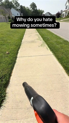 Unexpected Lawn Mowing Moments That Will Make You Laugh