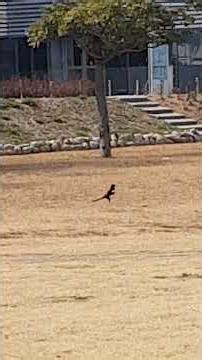 shall we date #parkseojin