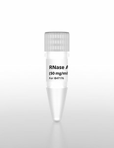 RNase A Solution 50mg/ml - 50 Microliters