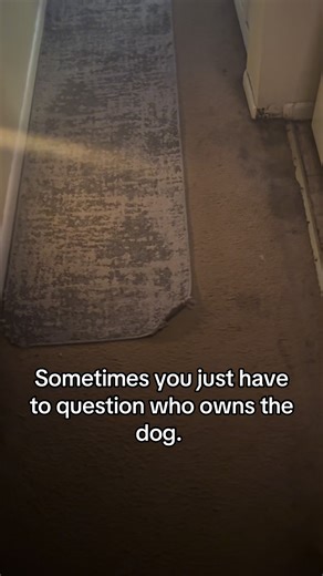 JERSEYDEVIL (@jerseydevil86)’s videos with original sound - 𝕾𝖙𝖆𝖗 𝕸𝖔𝖓𝖘𝖙𝖊𝖗