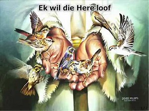 Afrikaans Christelik Lied: Ek wil die Here loof