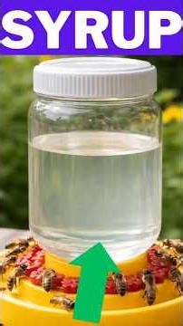 Struggling Colony? This Sugar Syrup Saves Lives #bees #shorts
