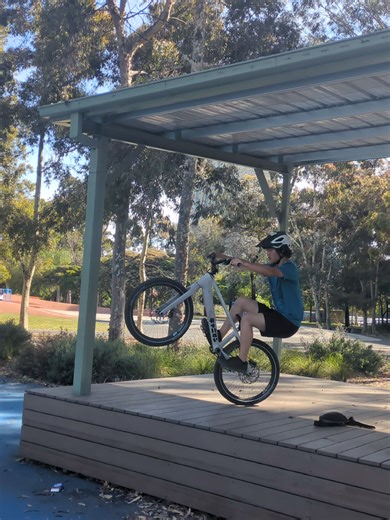 Exploring Street Trials Bike Tricks and Techniques