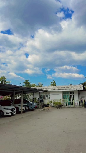 Hilarious Compilation of Funny Clips to Brighten Your Day