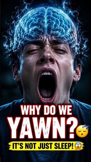 Why Do We Yawn? 😴 The Surprising Science Behind Yawning #facts #science