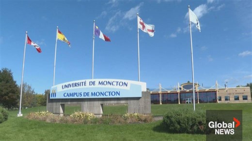 Small number of international students receive fake admission letters for N.B. university