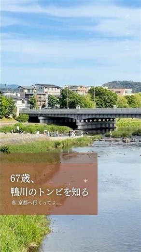 67歳、京都移住。鴨川のトンビは「職人技」！？