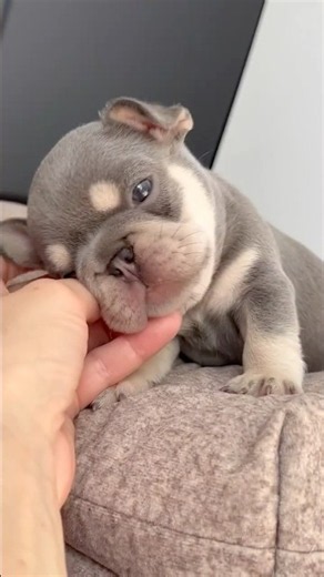 🥺🥺