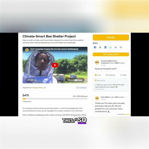 #4 Beehive Shed Idea Beekeeping Easier in Heat!