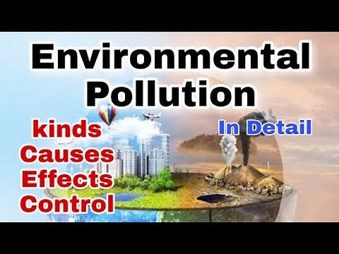 what is environmental pollution its types causes effects and control measure