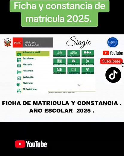 Cómo descargar la ficha y constancia de matrícula 2025
