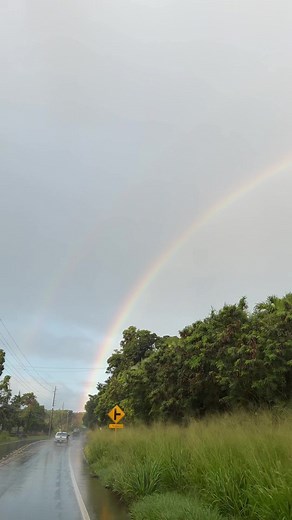 DOUBLE RAINBOW: Rei Ami's Musical Journey 🌈