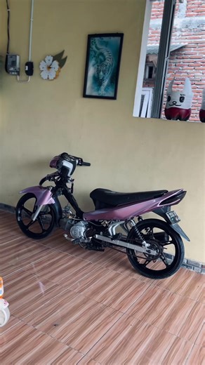 Jupiter Robot Long Arm Modifications and Styles