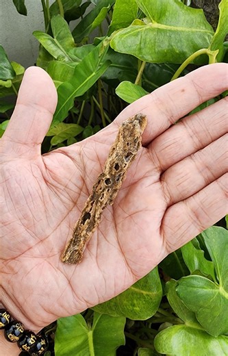 Sahara Desert Fulgurite: Lightning Fused Glass Tube ( 4GR ) - Etsy