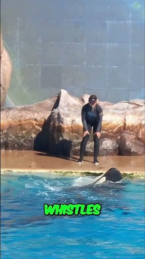 Orca Pod Secrets: Family, Intelligence & Underwater Chat!