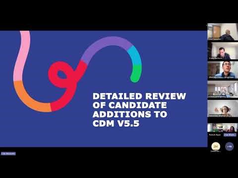 Workgroup Spotlight: Common Data Model (Mar. 17 Community Call)