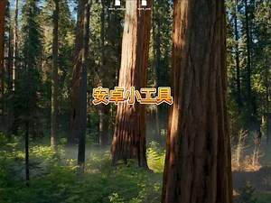 在电脑上对安卓手机上的文件上传下载