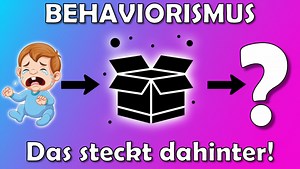 Behaviorismus: Definition Nach Skinner - Lerntheorie