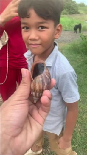 #funnyanimals #snail #snailcompilation #funny #animals #nature #amazing #snake