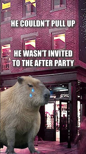 Capybara Meme Compilation #capybara #meme #compilation