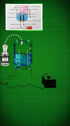 Activity 1.7 class 10 science | electrolysis of water #shorts #chemistry #class10 #ncert