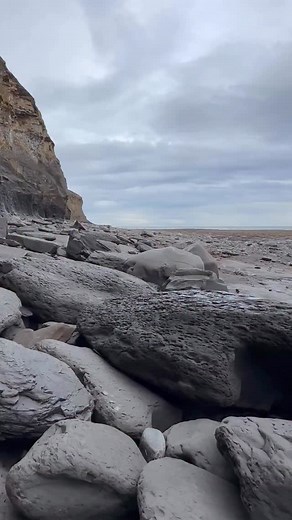 111K views · 767 reactions | Jurassic Fossil and crystal hunting on a...