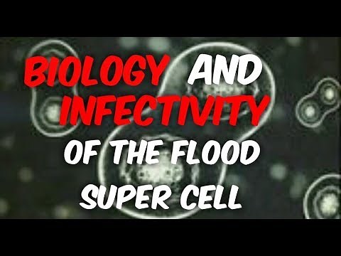 Halo Flood Lore:The process of flood infection (how the flood super cells convert a species biomass)
