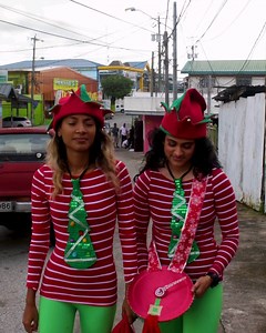 Season 1 episode 7 – The Elves have journeyed to Bright Ideas Rio Claro | Bright Ideas