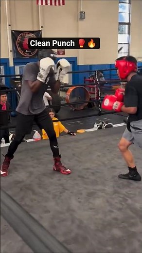 Clean Punch in Sparring 🥊🔥 | Boxing Skills #boxing #shorts