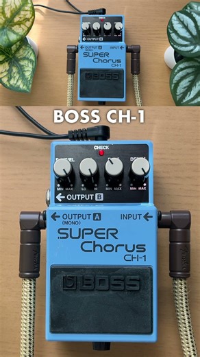Boss Super Chorus #shorts #guitar #guitarpedals #bosspedals #chorus