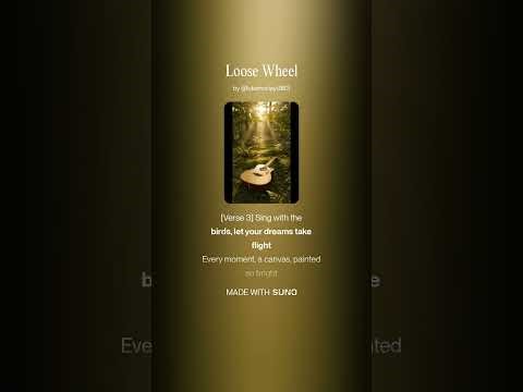 Loose Wheel - An Acoustic Journey