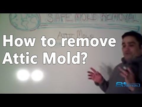 Attic Mold Removal / Attic Mold Remediation How to Remove, The Green Solution: Part 3