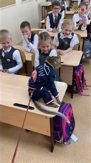 Classroom Fun: Mischievous Monkey Sparks Laughter || WooGlobe