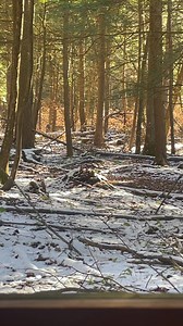 96K views · 741 reactions | What the heck! Can’t a guy just sit in peace? I’m not interested in guest to the office today. | Tim Witter | Facebook