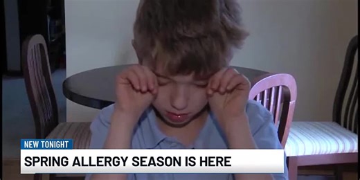 Ways to lessen the effects of pollen allergies