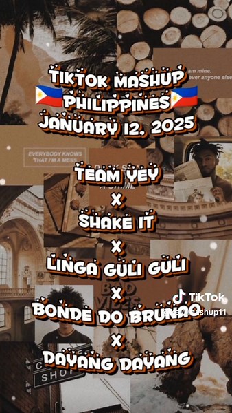 TikTok Mashup Compilation from January 2025