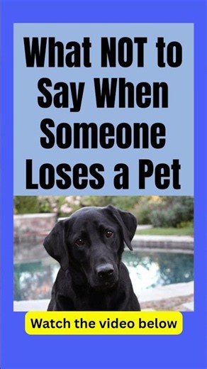 What NOT to say when someone loses a pet