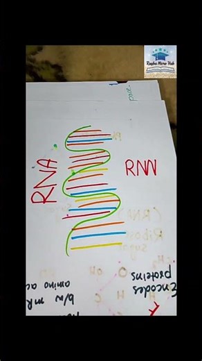 #dna #rna #rrna #mrna #trna #shorts #trending #viralshorts #microbiology