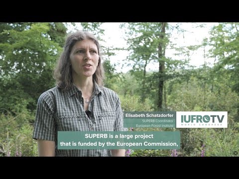 The SUPERB Forest Restoration Project