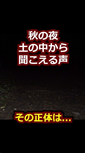 秋の夜、土の中から聞こえてくるあの声の正体は？ #雑学 #秋 #昆虫