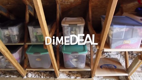 ATTICMAXX Winner & Dollar Tree Giftcard!