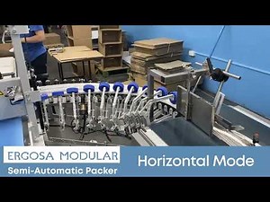 Ergosa Horizontal Mode - Overview