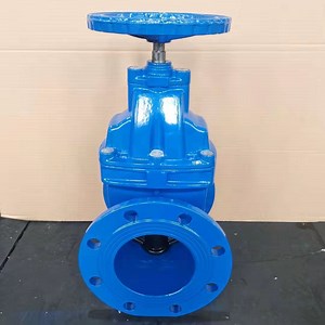 [Hot Item] BS5163 Rubber Wedge Gate Valve