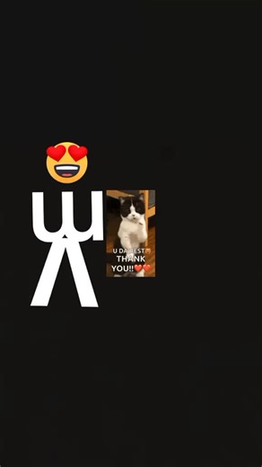 Alia Cook Kitchen (@alia.cook.kitchen)’s videos with original sound - Alia Cook Kitchen