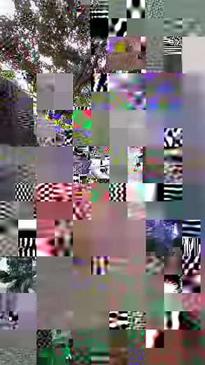 39K views · 1.1K reactions | Gator VS python! Who wins?? It’s not a...