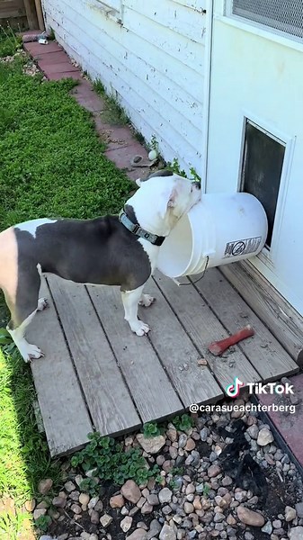 Tips for Fitting a Round Peg in a Square Hole