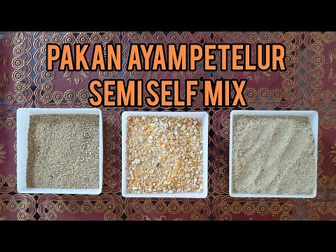 How to Make Semi-Self-Mixed Feed for Laying Hens at Home